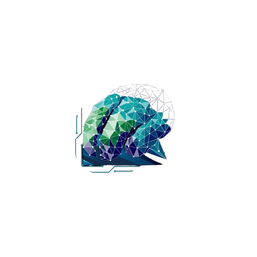 SonicSoftora Ltd. Logo